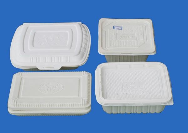 biodegradable disposable lunch box