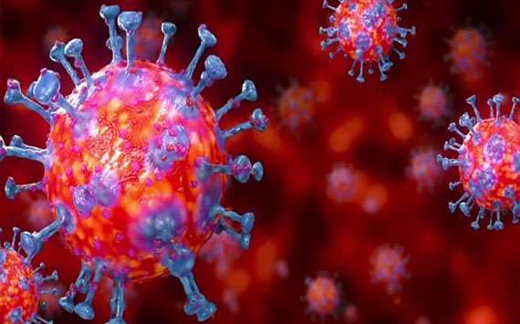 کرونا وائرس جسم کے کن اعضاء کو متاثر کرتا ہے؟