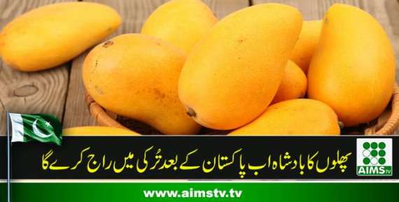 پھلوں کا بادشاہ اب پاکستان کے بعد تُرکی میں راج کرے گا