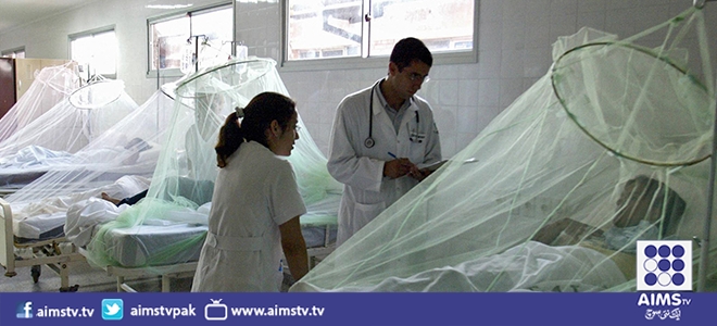 راولپنڈی میں 24 گھنٹوں کے دوران مزید 25 مریضوں میں ڈینگی وائرس کی تصدیق 