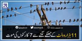 11ہزار وولٹ کے جھٹکے لگنےسے7کارکنوں کی موت