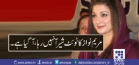 مریم نواز کا ٹوئٹ شیر آ نہیں رہا ،آگیا ہے ۔