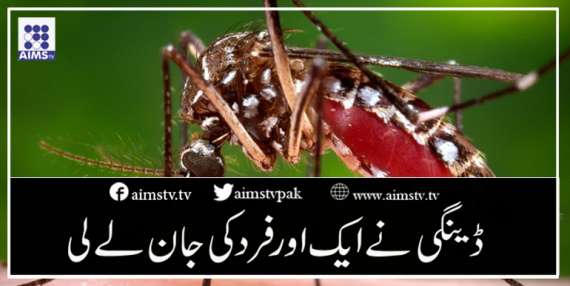 ڈینگی نے ایک اور فرد کی جان لے لی