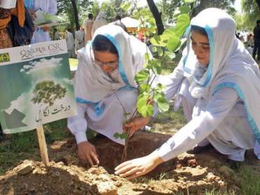 ملک بھرمیں شجرکاری کا آغاز