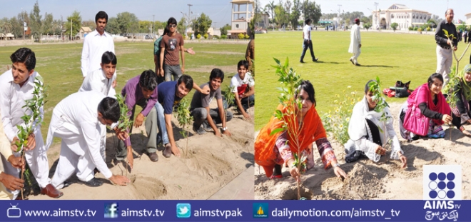 جامعہ کراچی: شجر کاری مہم کا افتتاح آج ہوگیا