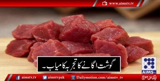 گوشت اگانے کا تجربہ کامیاب۔