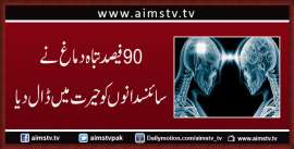 90 فیصد تباہ دماغ نے سائنسدانوں کو حیرت  میں ڈال دیا