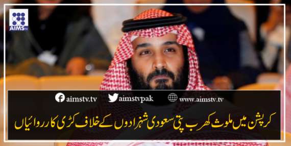 کرپشن میں ملوث کھرب پتی سعودی شہزادوں کے خلاف کڑی کارروائیاں