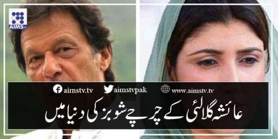 عائشہ گلالئی کے چرچے شوبز کی دنیا میں
