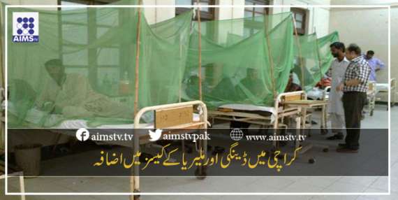کراچی میں ڈینگی اور ملیریا کے کیسز میں اضا فہ