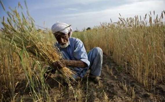 پاکستانی زرعی مٹی تیزی سے اپنی تاثیر کھورہی ہے