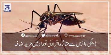 ڈینگی وائرس سے متاثرہ افراد کی تعداد میں مز ید اضا فہ