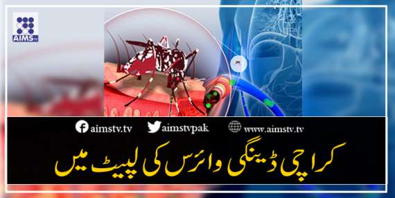 کراچی ڈینگی وائرس کی لپیٹ میں