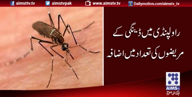 راولپنڈی میں ڈینگی کے مریضوں کی تعداد میں اضافہ