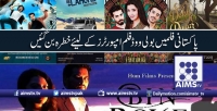 پاکستانی فلمیں بولی ووڈ فلم امپورٹرز کے لیئے خطرہ بن گئیں