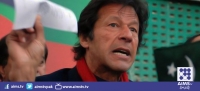 دھرنا پاکستانیوں کو حقوق دلانے کی جدوجہد ہے،عمران خان