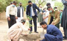 جامعہ کراچی میں جشن آزادی شجرکاری مہم کاافتتاح