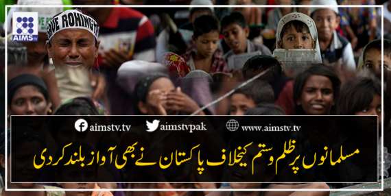 مسلمانوں پر ظلم و ستم کےخلاف پاکستان نے بھی آواز بلند کردی