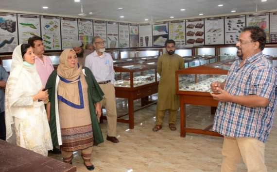 وفاقی اردویونیورسٹی کی قائم مقام وائس چانسلرکانوتشکیل شدہ ارضیاتی عجائب خانہ کادورہ