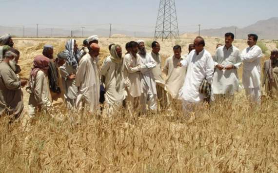 پاکستان کسان اتحادنےوزیراعلیٰ پنجاب سےمذاکرات کامیاب