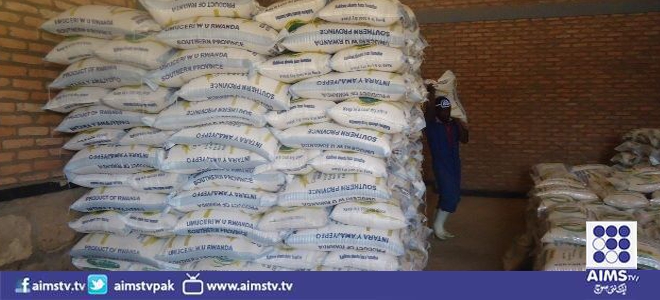 سندھ بلوچستان میں چاول کے700 کارخانےغیر معینہ مدت کے لیے بند