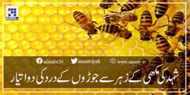 شہد کی مکھی کے زہر سے جوڑوں کے درد کی دوا تیار