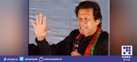 میں جب تک زندہ ہوں دھرنا جاری رہے گا ،عمران خان