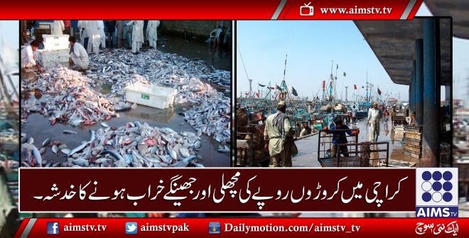 کراچی میں کر وڑوں روپے کی مچھلی اور جھینگے خراب ہونے کا خدشہ۔